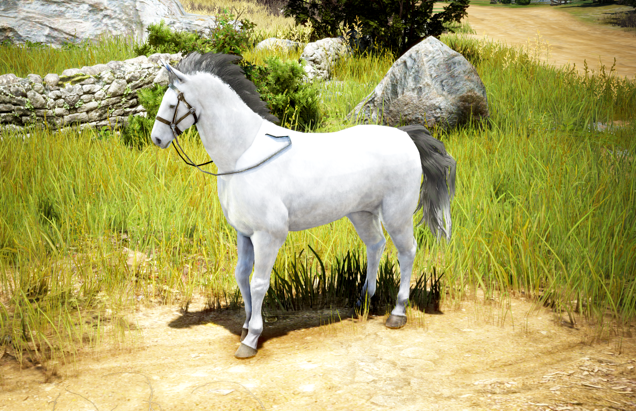 Come domare un cavallo in Crimson Desert? Tasti e consigli per le cavalcature leggendarie