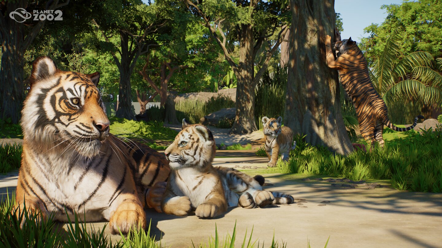 Planet Zoo 2: come creare habitat adatti e migliorare il benessere degli animali